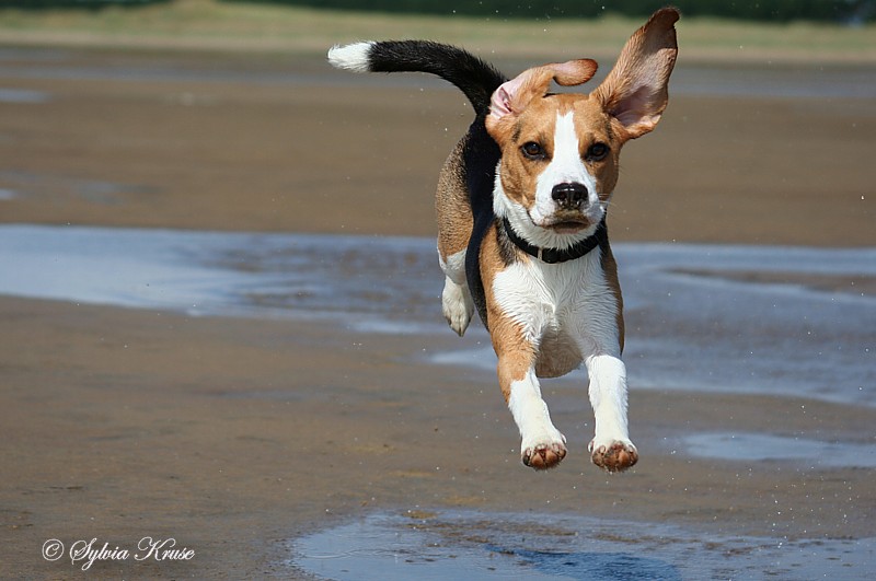 Spaß am Strand