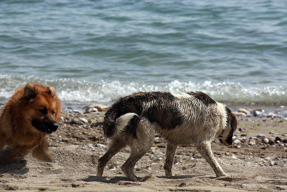 Spaß am Strand von Alanya, Türkei #2