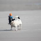 Spaß am Strand von Amrum