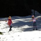 "Spaß Am Waldspielplatz 3* Wertach"