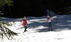 "Spaß Am Waldspielplatz 3* Wertach"