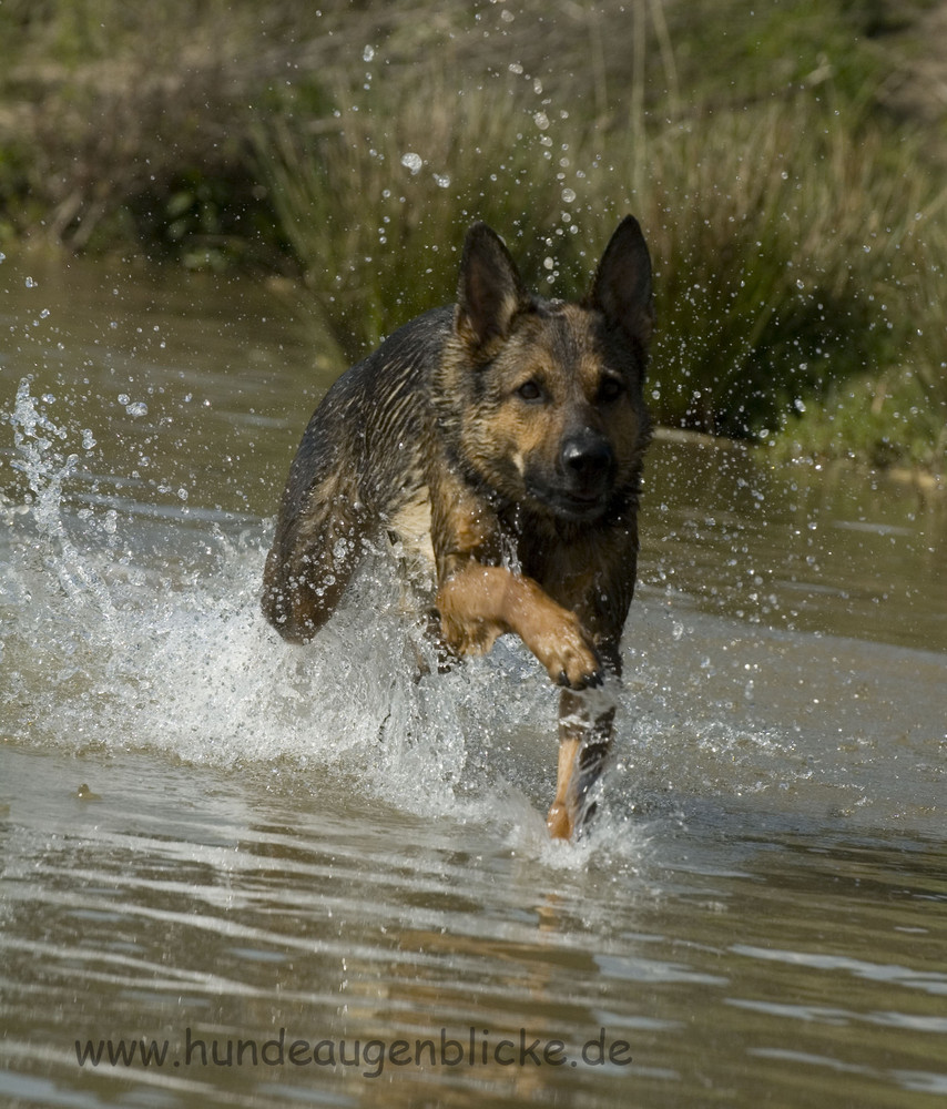 Spaß am Wasser