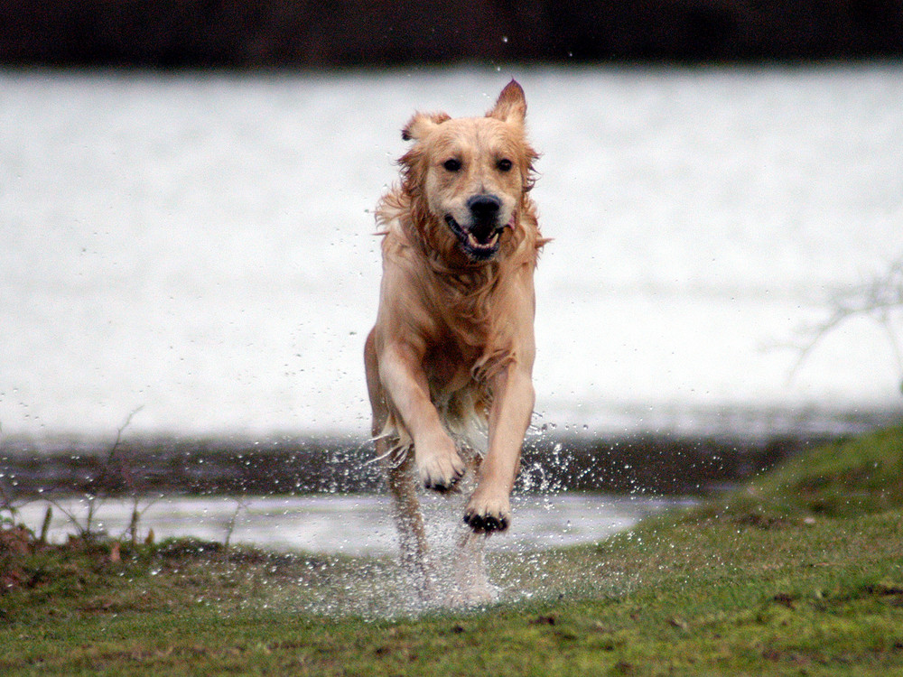 Spass am Wasser