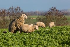 Spaß am windigen Sonntag ;-)