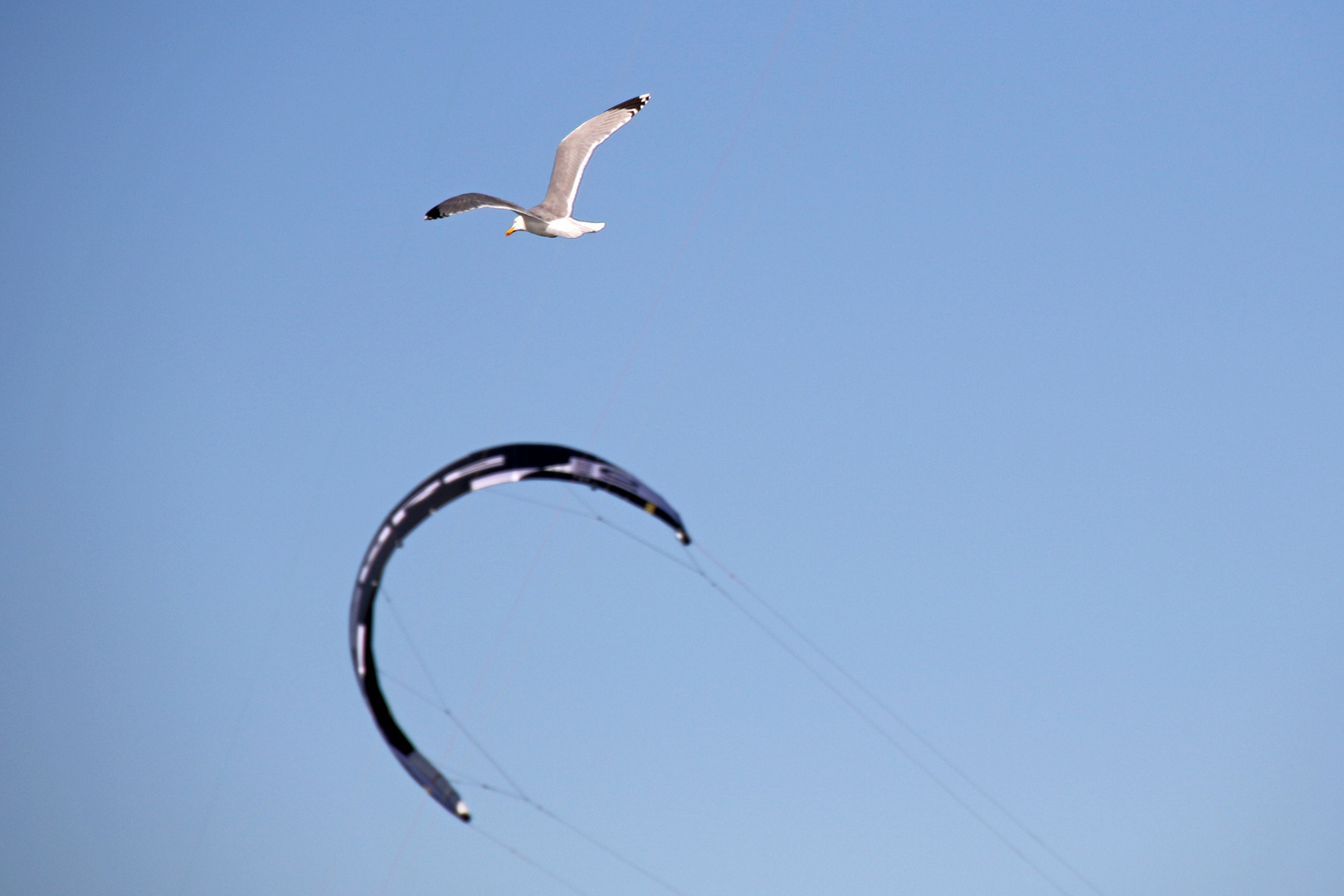 Spaß an der Ostsee 2