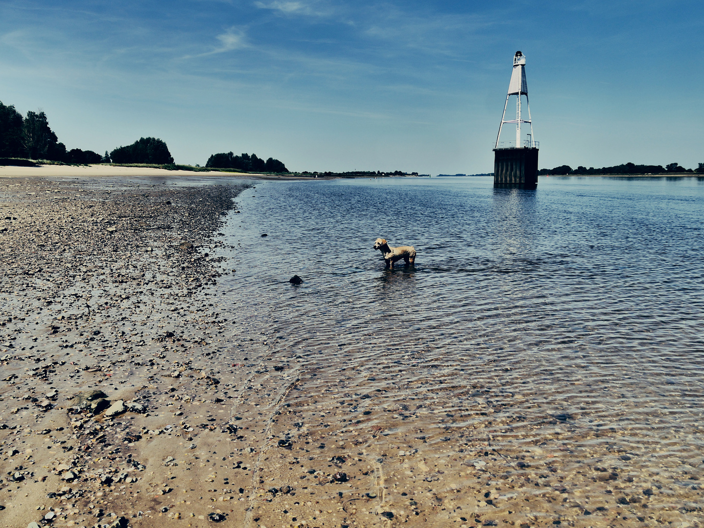 Spass an der Weser