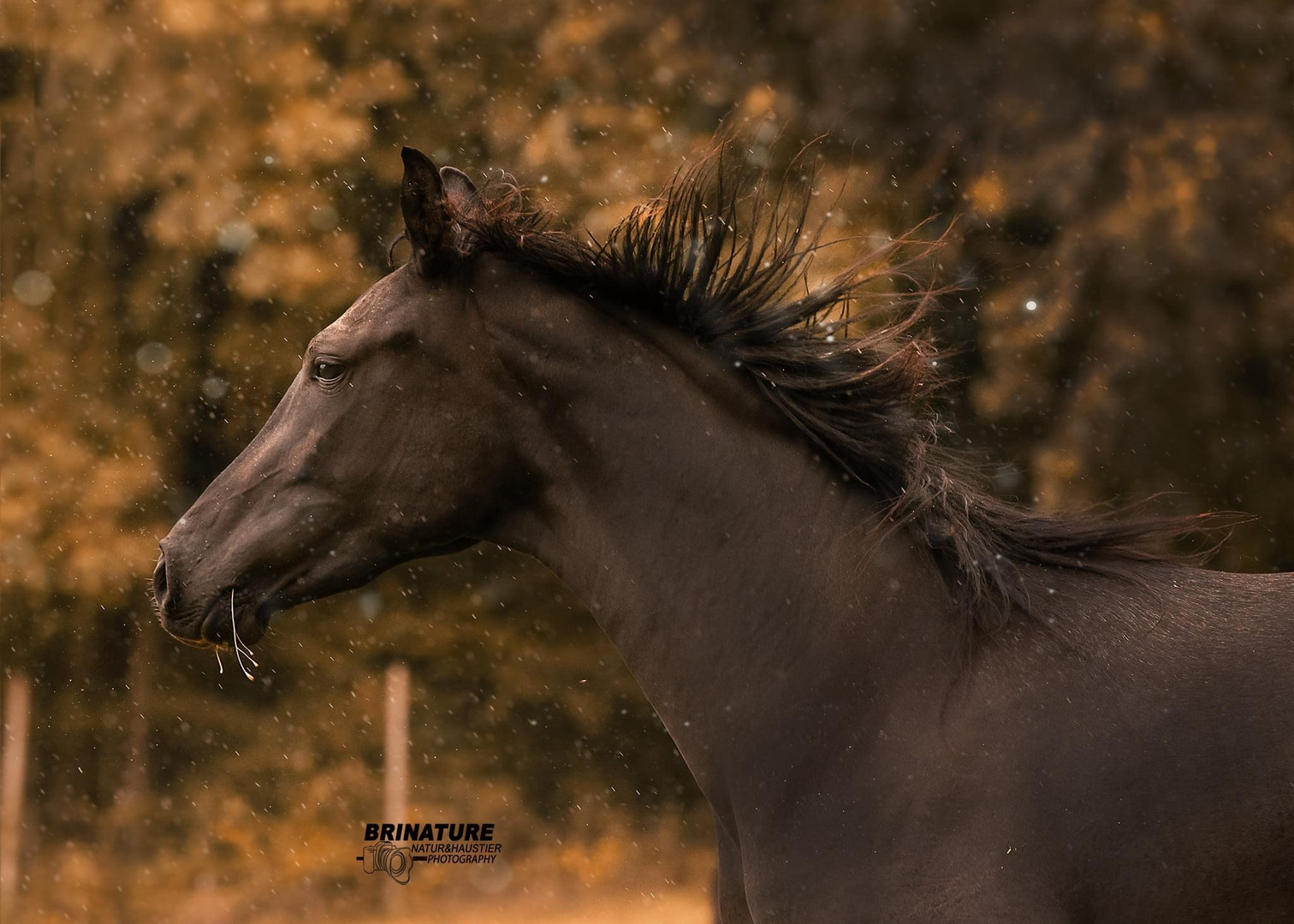 Spaß bei Regen 