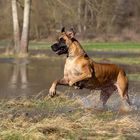 Spaß beim Hochwasser