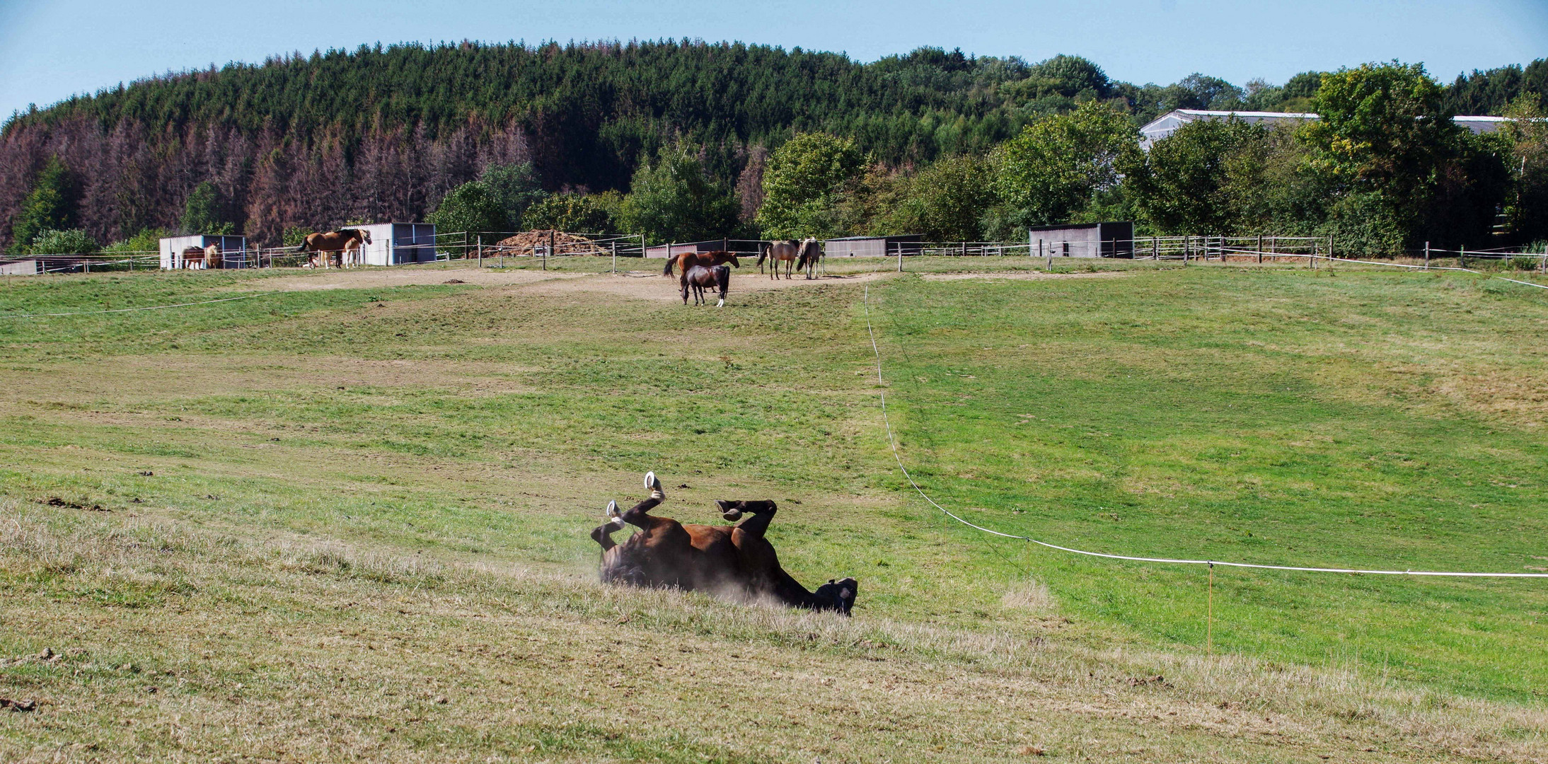 Spass, Freude, Vergnügen 