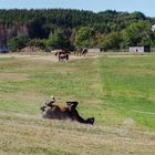 Spass, Freude, Vergnügen 