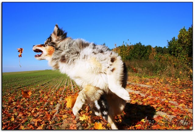 Spaß im Herbst