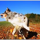 Spaß im Herbst