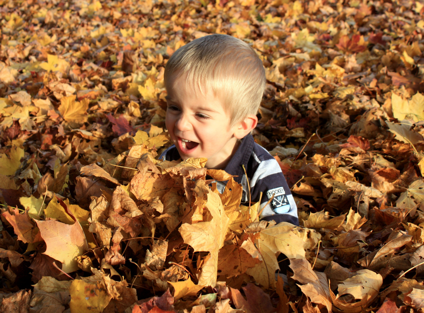 Spaß im Herbst