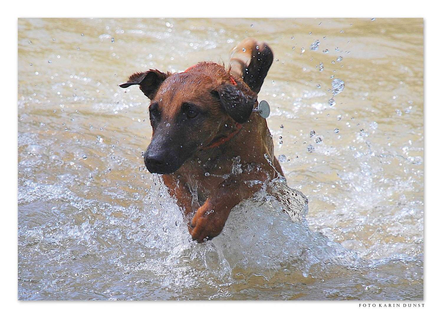 Spass im Hochwasser