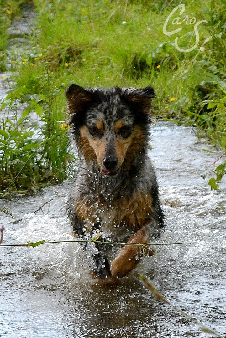 Spaß im kühlen Nass