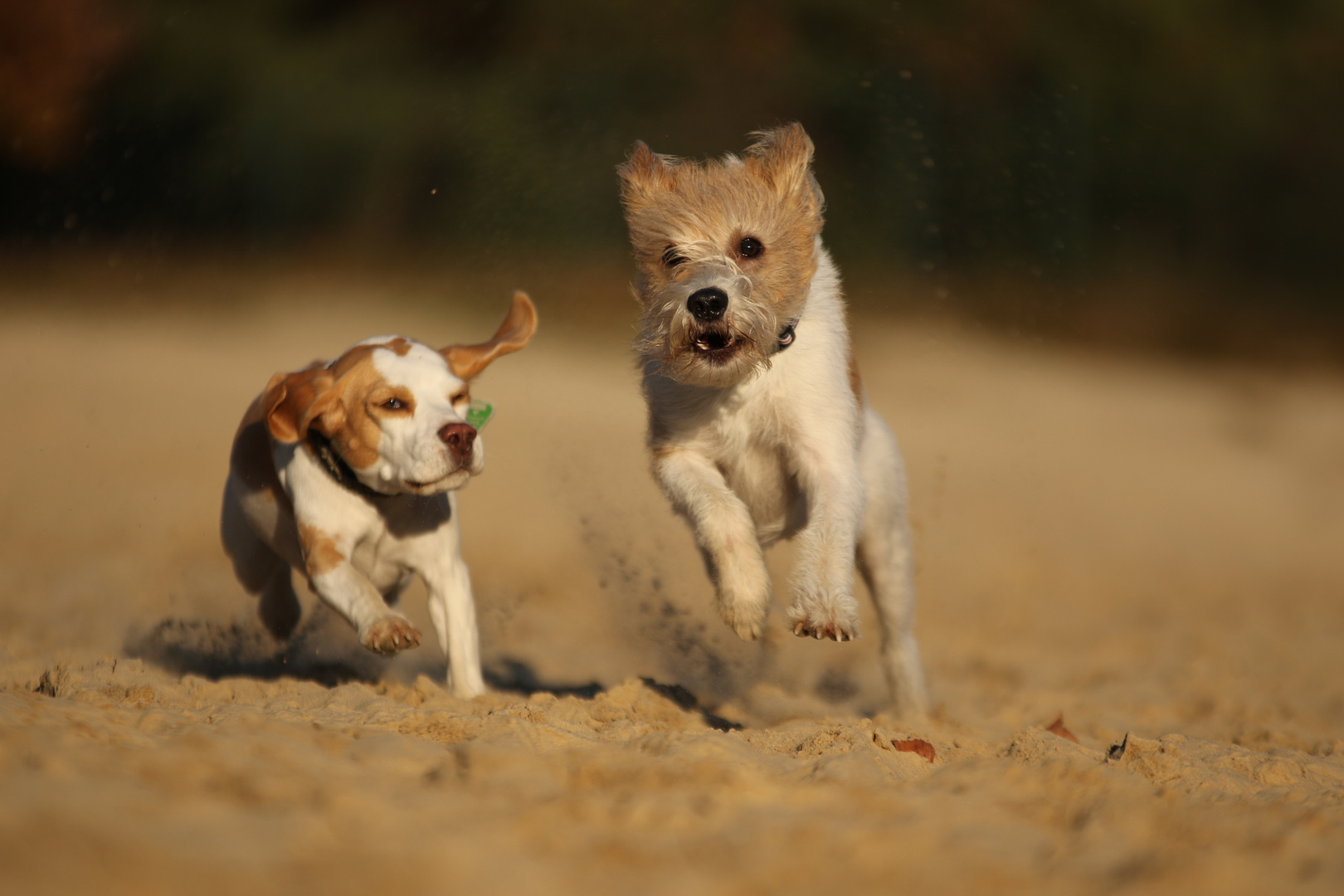 Spaß im Sand!