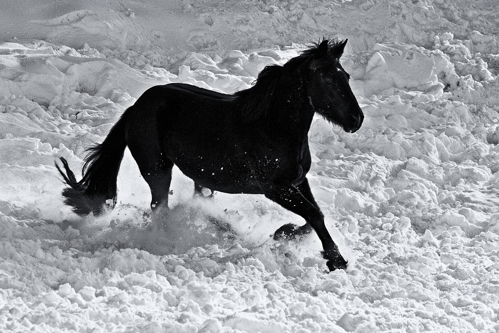 Spass im Schnee