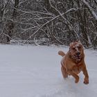 Spaß im Schnee