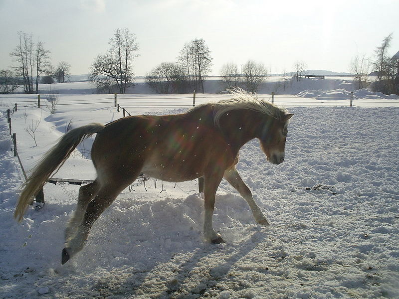 Spaß im Schnee!!