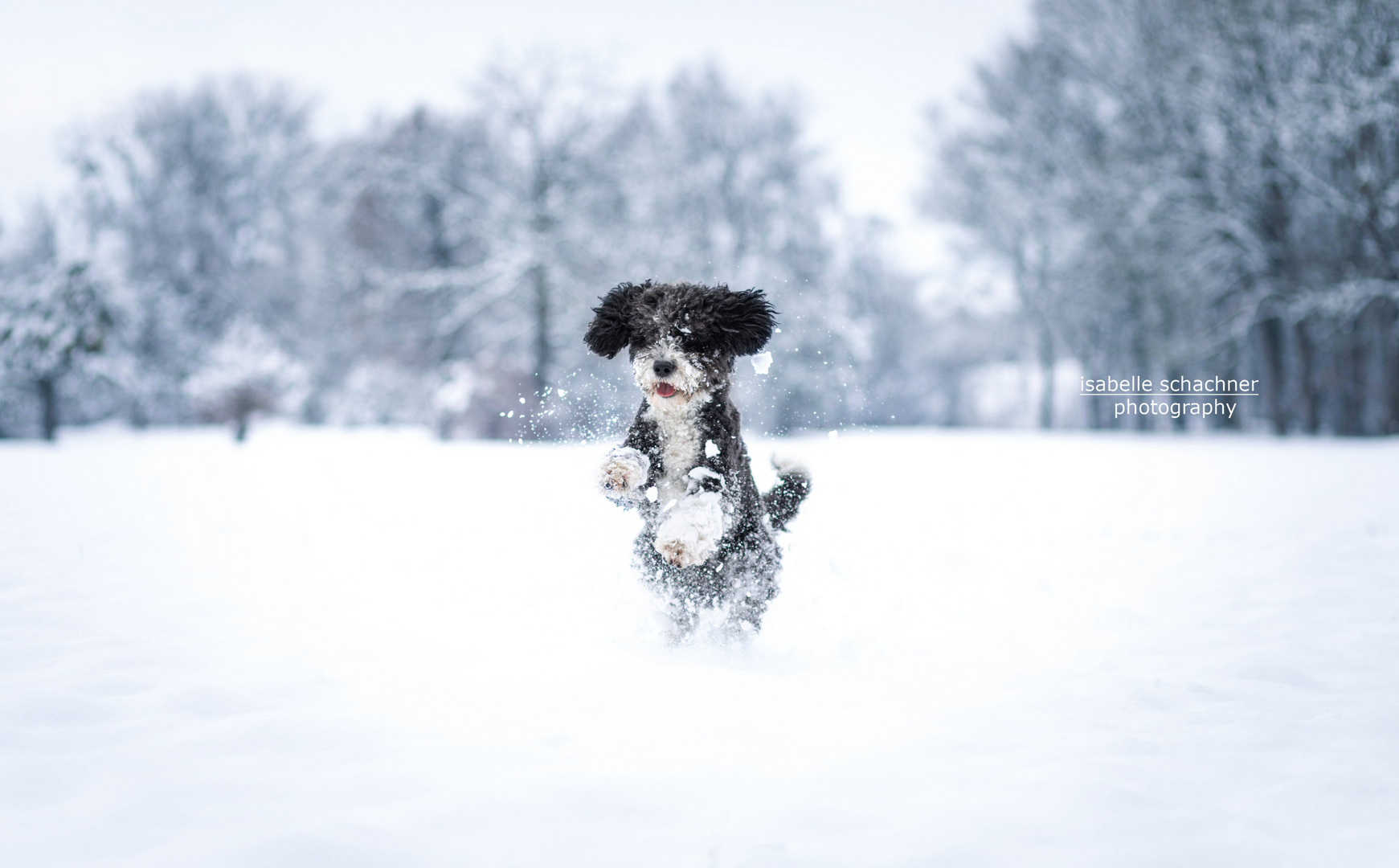 Spaß im Schnee