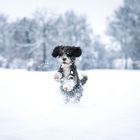 Spaß im Schnee