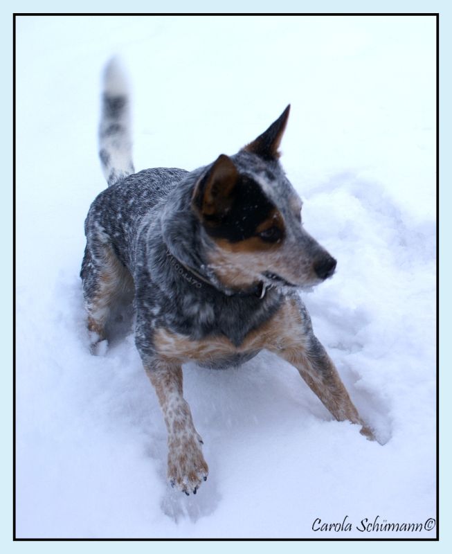 Spaß im Schnee 1