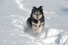 Spaß im Schnee 1