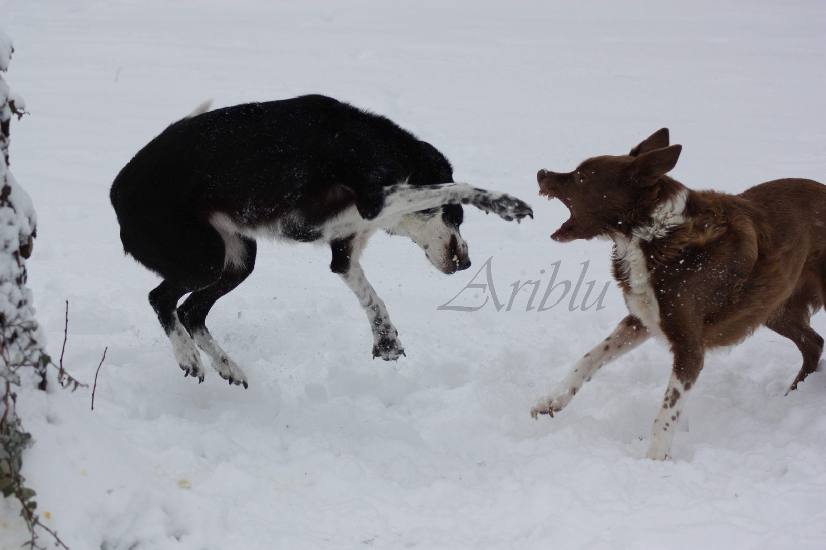 Spaß im Schnee