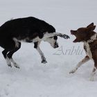 Spaß im Schnee