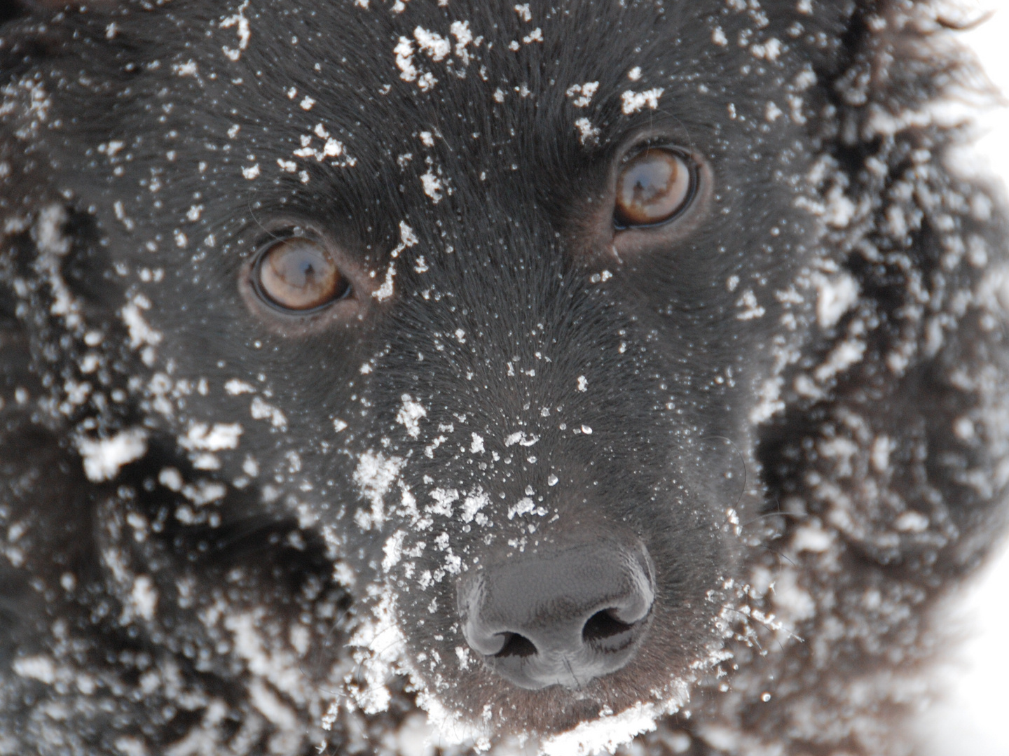 Spass im Schnee