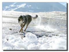 Spaß im Schnee