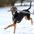 Spaß im Schnee