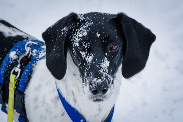 Spaß im Schnee 2