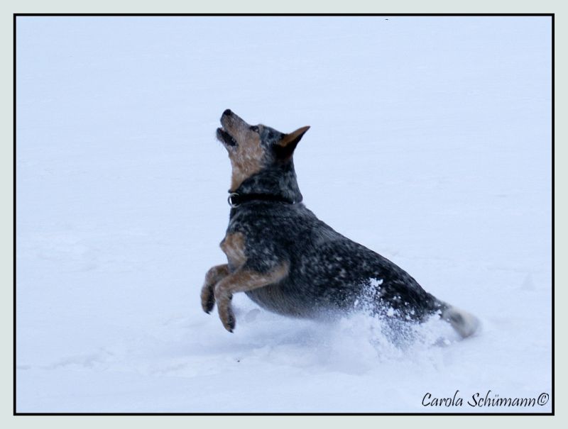 Spaß im Schnee 2