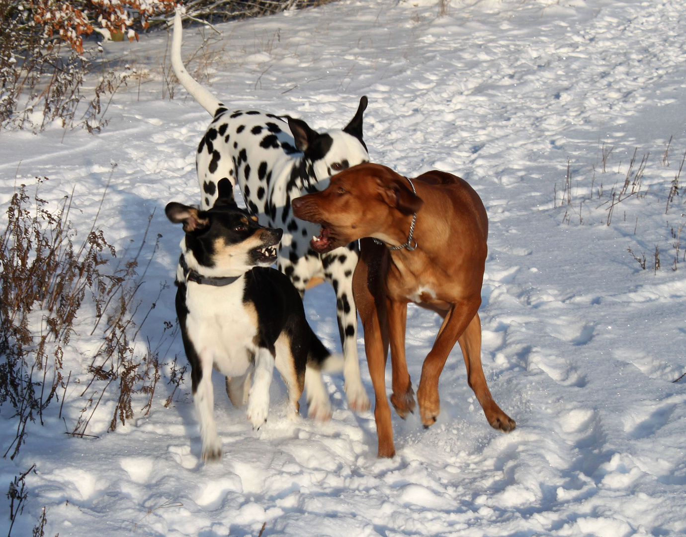 Spaß im Schnee 2