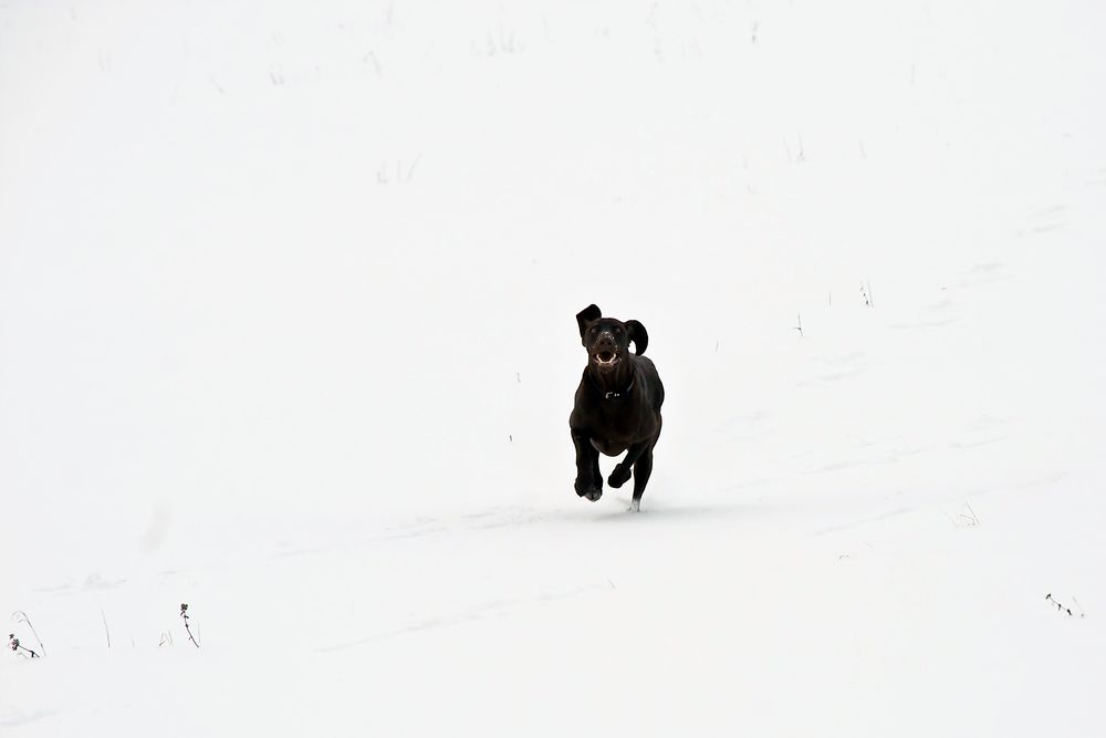 Spaß im Schnee (2)