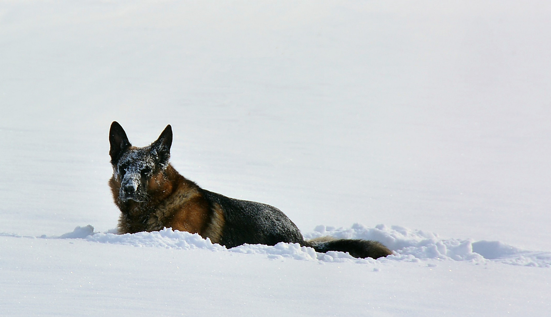 Spaß im Schnee