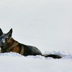 Spaß im Schnee