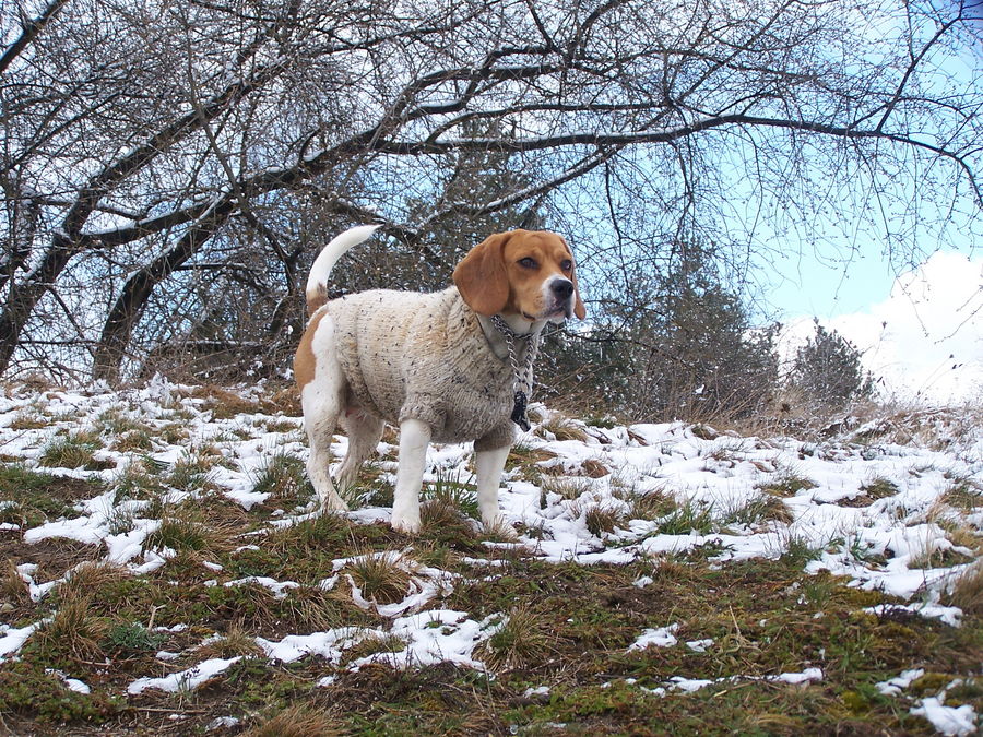 Spaß im Schnee