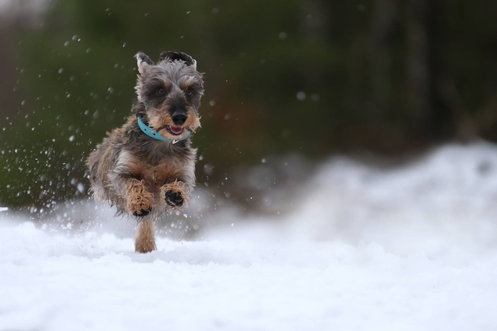 Spaß im Schnee