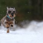 Spaß im Schnee