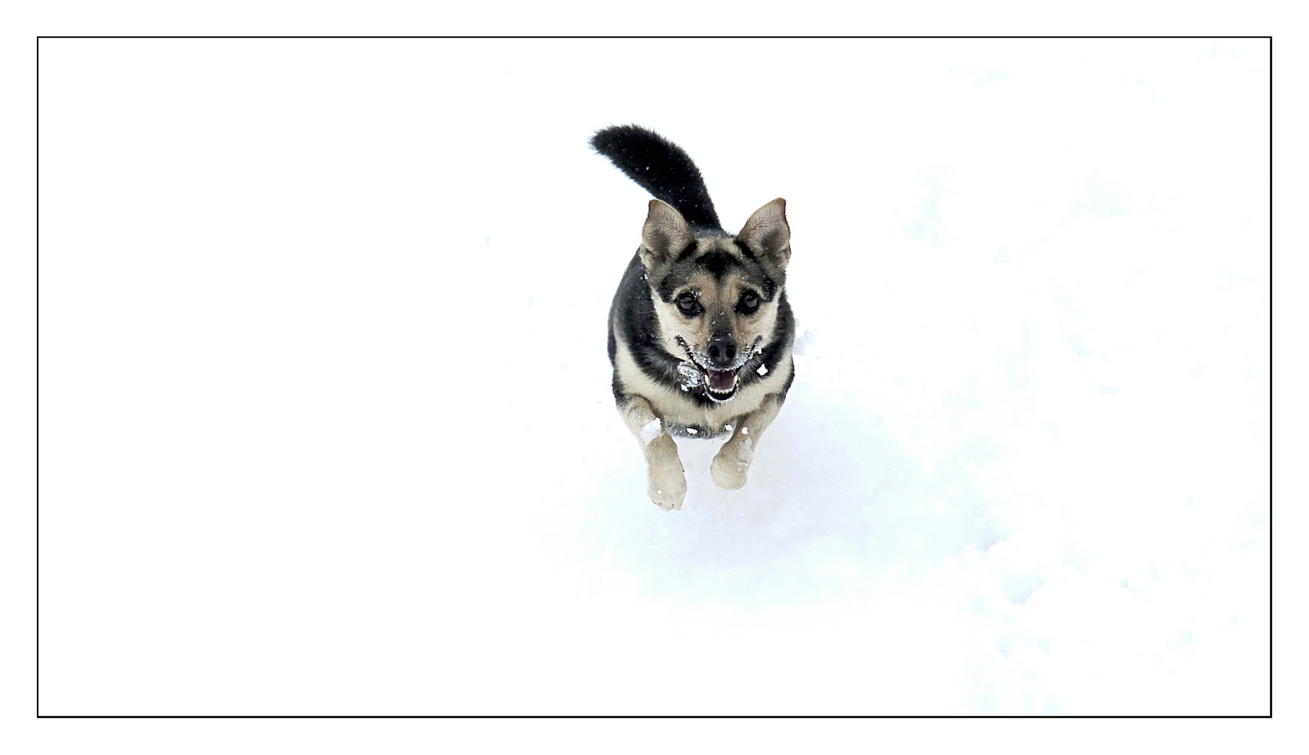 Spaß im Schnee...