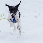 Spaß im Schnee 3