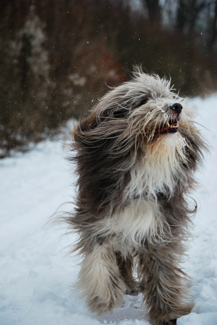 Spaß im Schnee