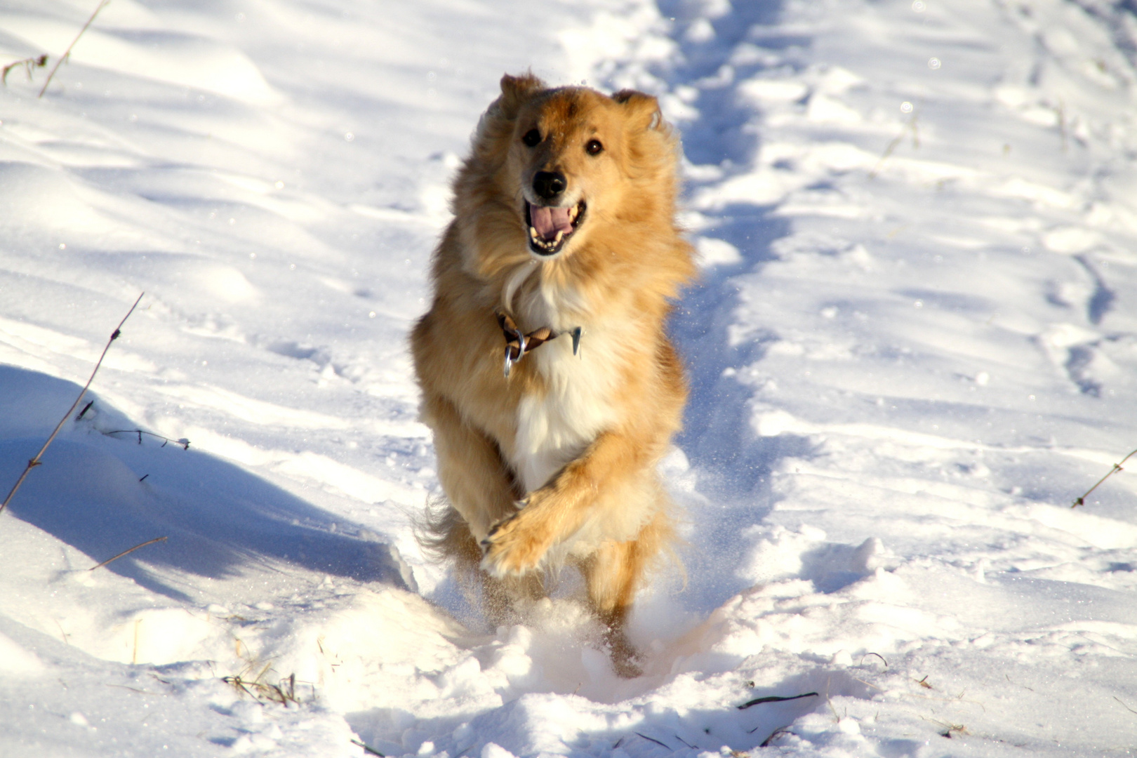 Spaß im Schnee