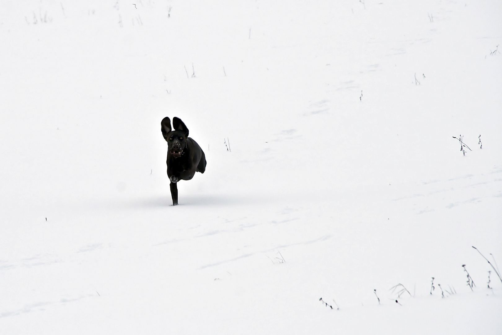 Spaß im Schnee