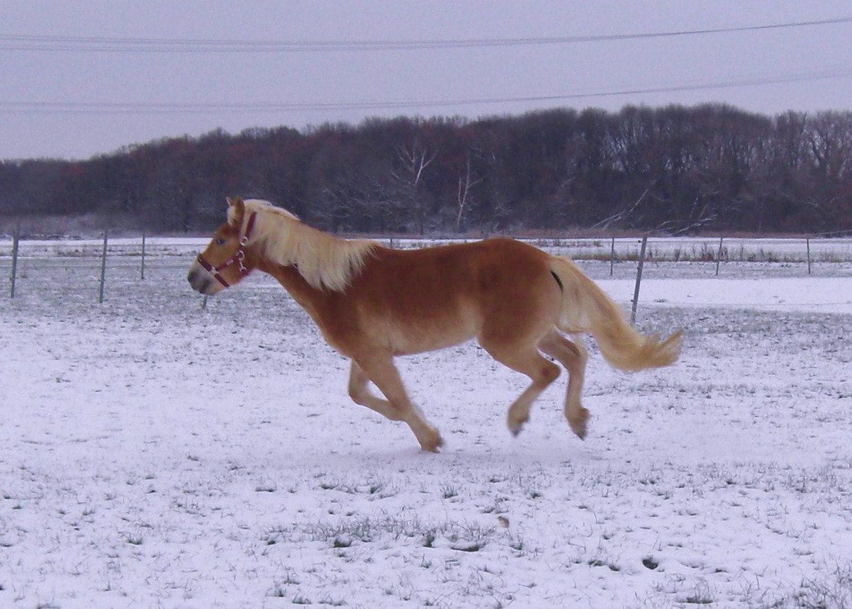Spass im Schnee