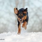 Spaß im Schnee