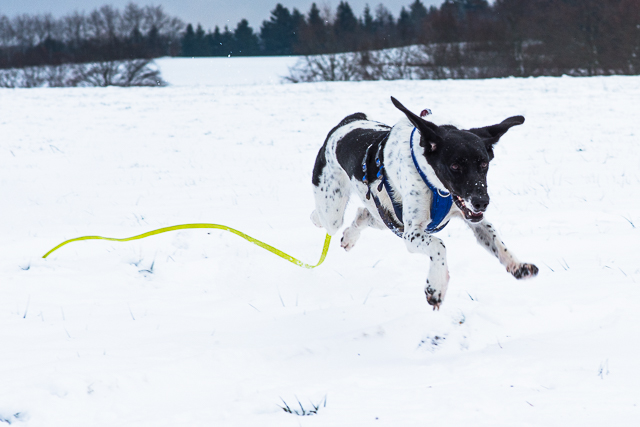 Spaß im Schnee 5