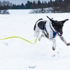 Spaß im Schnee 5